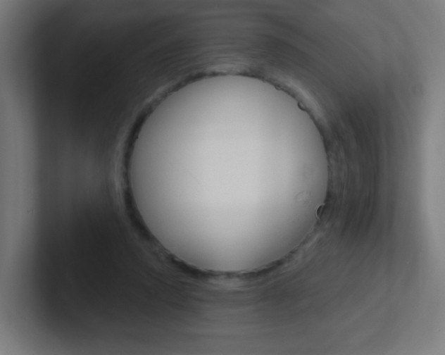 X0000102410354200808011021