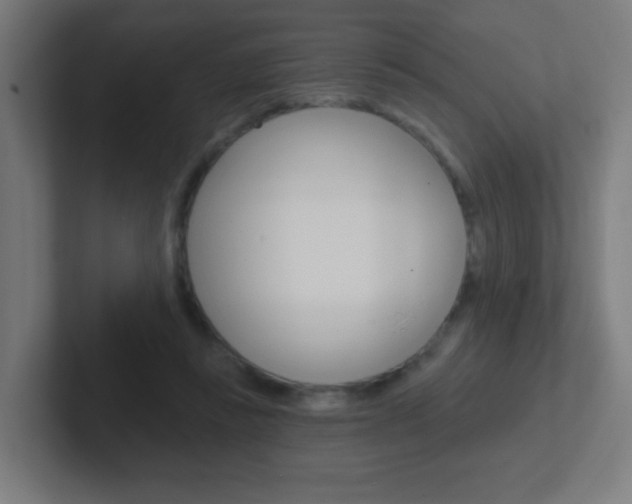 X0000102410355200808011021
