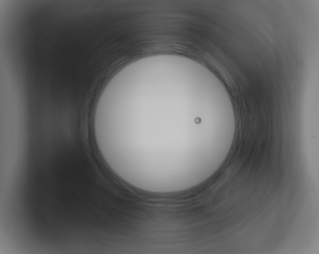 X0000102410356200808011021