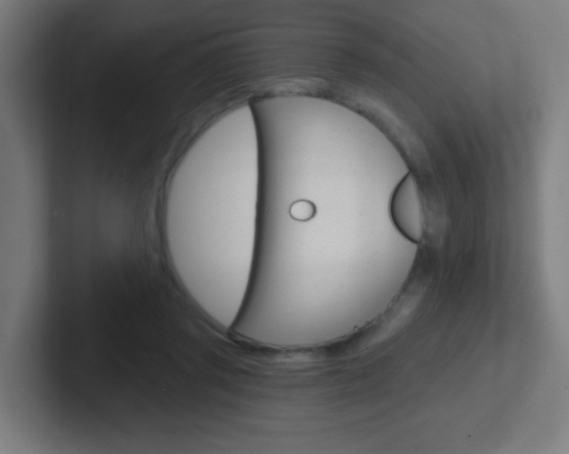 X0000102410357200808011021