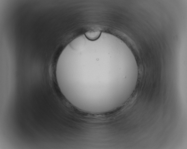 X0000102410359200808011021