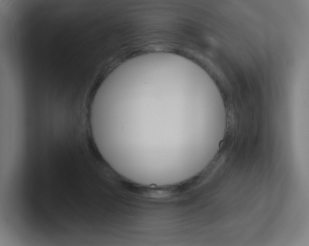 X0000102410361200808011021