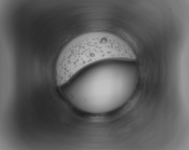 X0000102410362200808011021