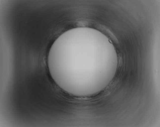 X0000102410363200808011021