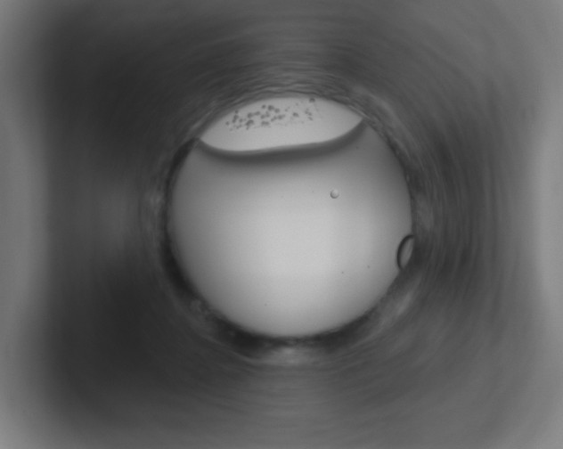 X0000102410364200808011021