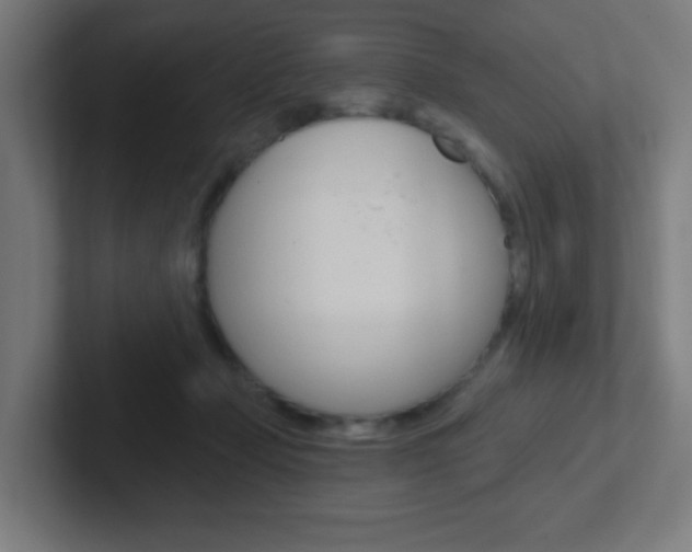 X0000102410365200808011021