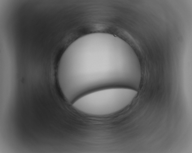 X0000102410366200808011021