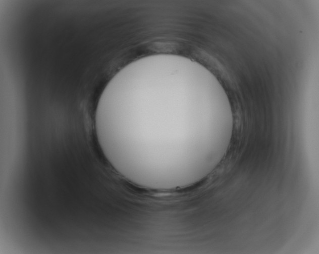 X0000102410371200808011021