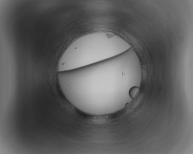 X0000102410373200808011021