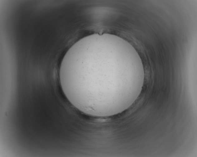 X0000102410375200808011021