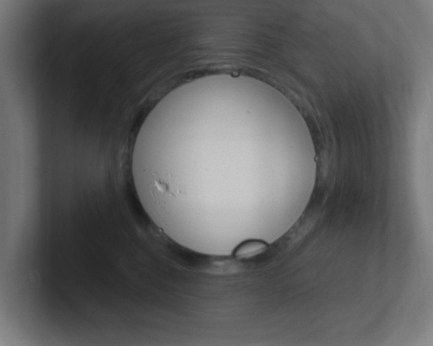X0000102410376200808011021