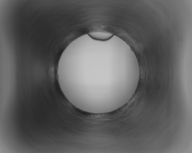 X0000102410378200808011021