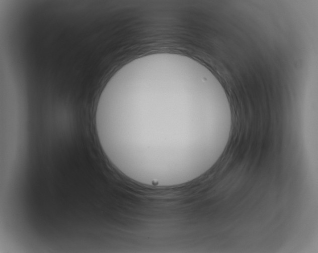 X0000102410380200808011021