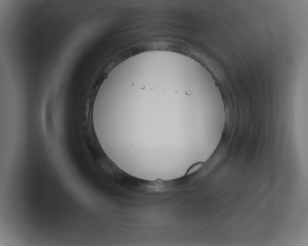 X0000102410381200808011021