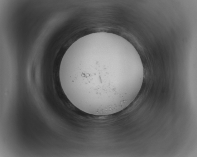 X0000102410382200808011021