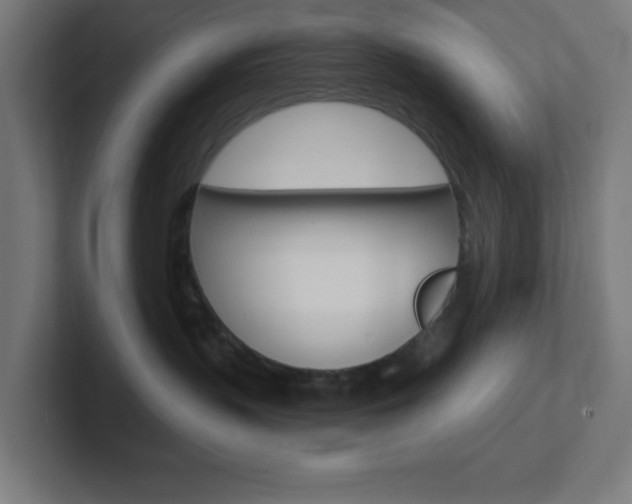 X0000102410383200808011021