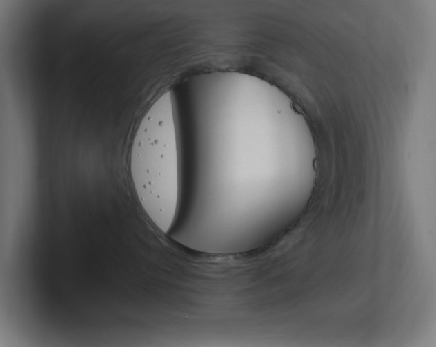 X0000102410384200808011021