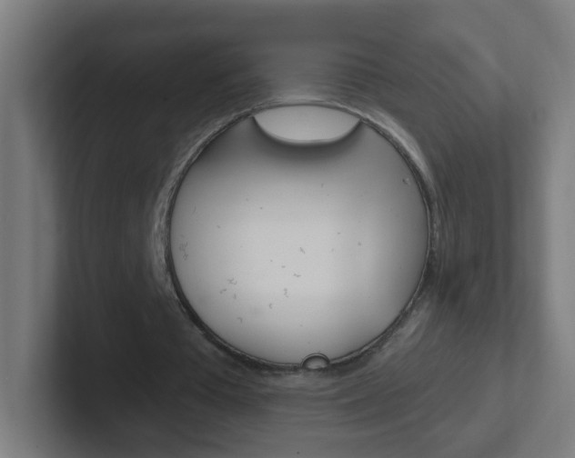 X0000102410385200808011020