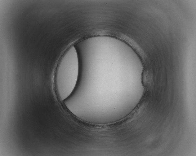 X0000102410386200808011020