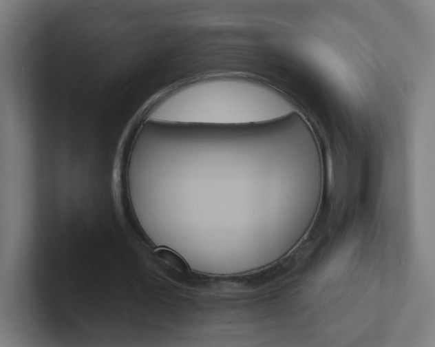 X0000102410387200808011020