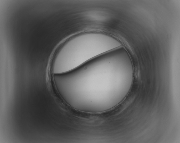 X0000102410388200808011020