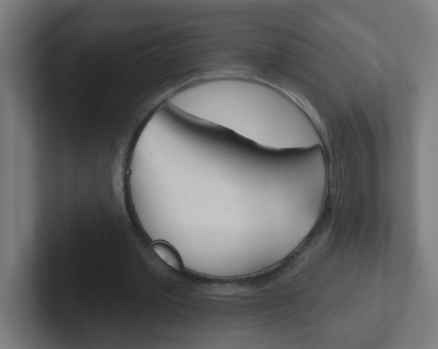 X0000102410389200808011020