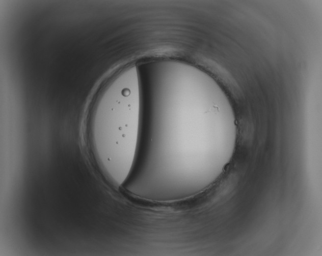 X0000102410392200808011020