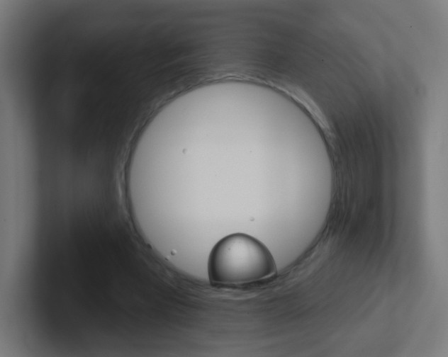 X0000102410393200808011020