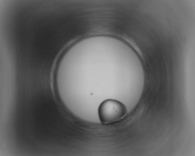 X0000102410395200808011020