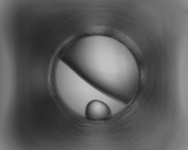 X0000102410396200808011020