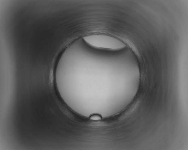 X0000102410397200808011020