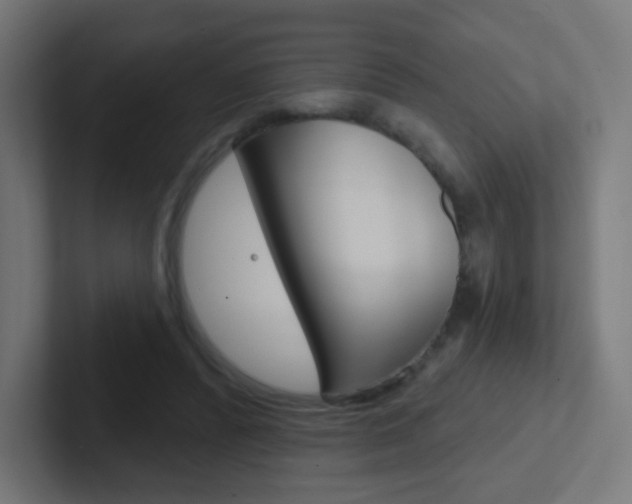 X0000102410400200808011020