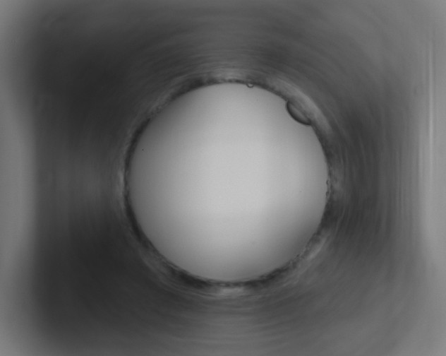 X0000102410401200808011020