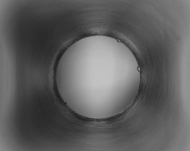 X0000102410403200808011020