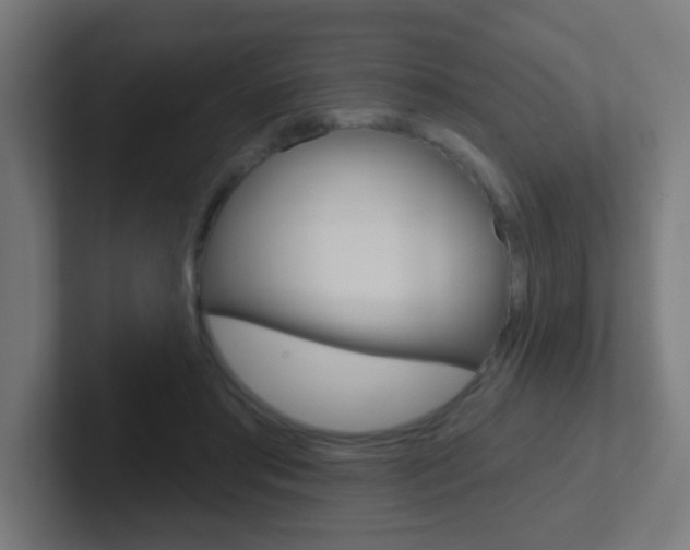 X0000102410405200808011020