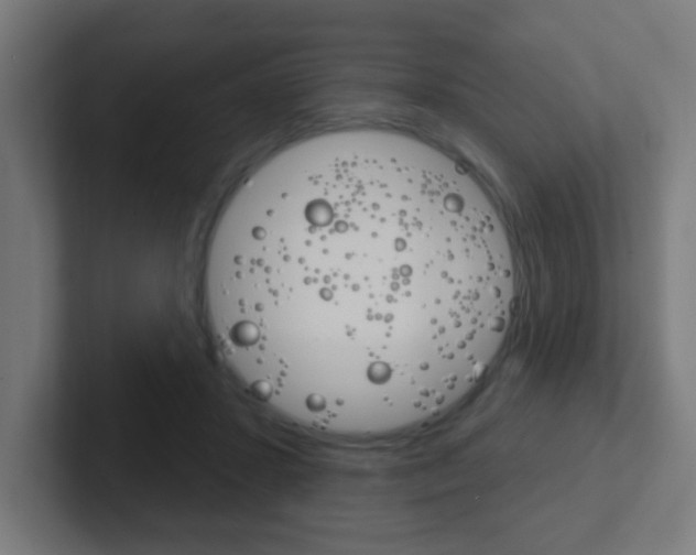 X0000102410407200808011020