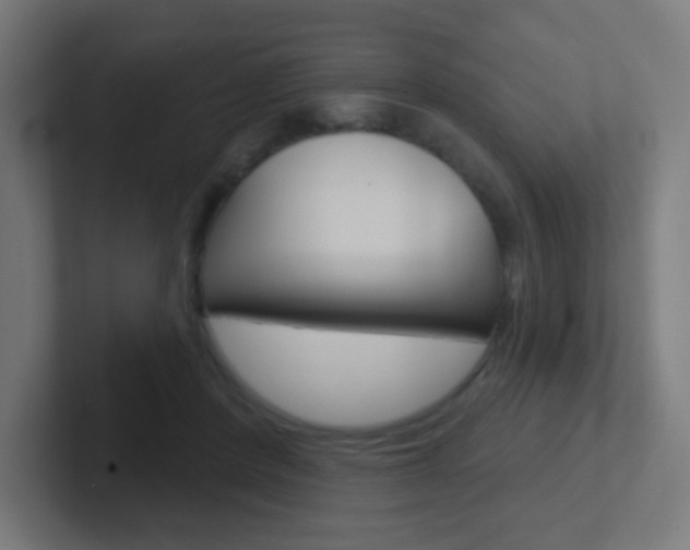 X0000102410408200808011020
