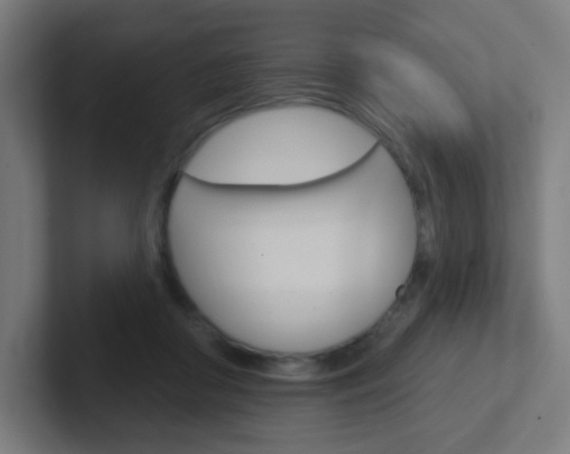 X0000102410410200808011020
