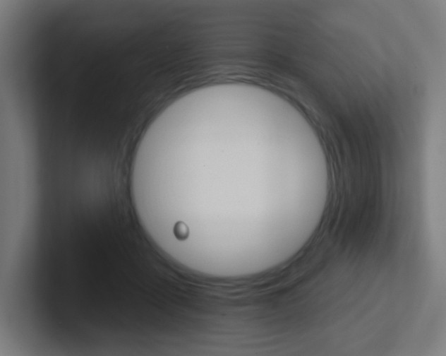 X0000102410411200808011020