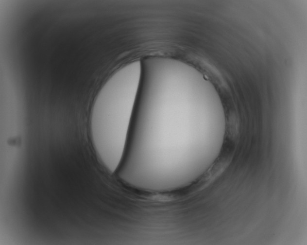 X0000102410413200808011020
