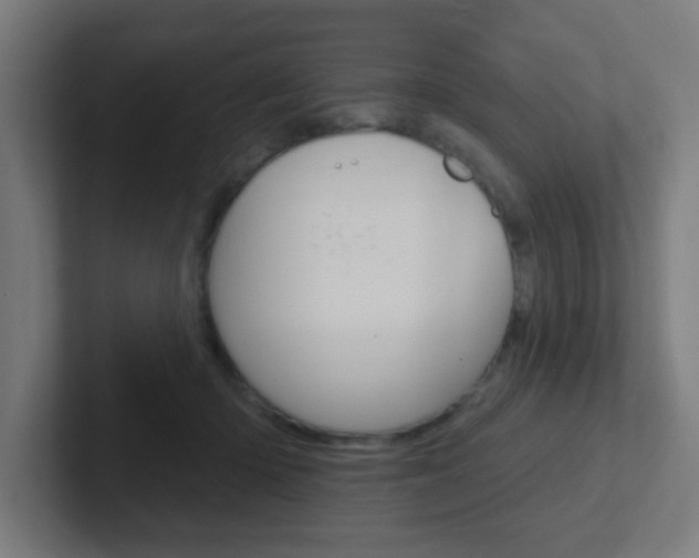 X0000102410414200808011020