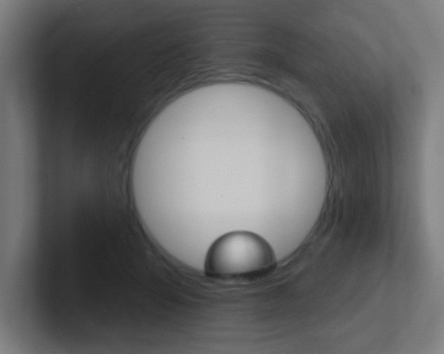 X0000102410415200808011020