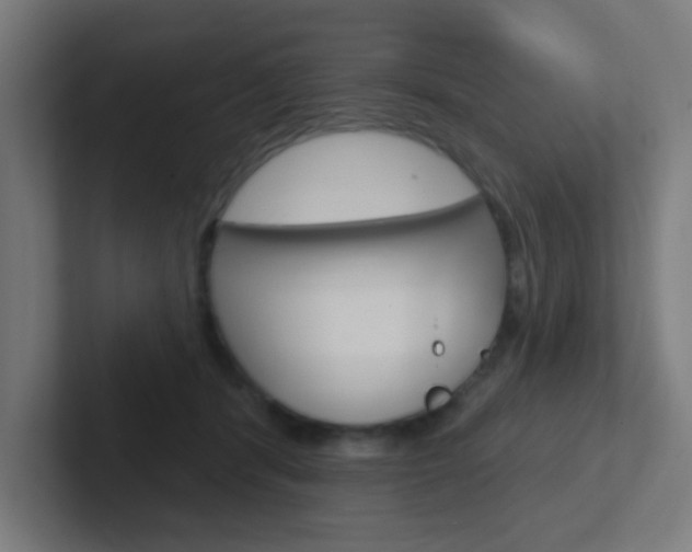 X0000102410416200808011020