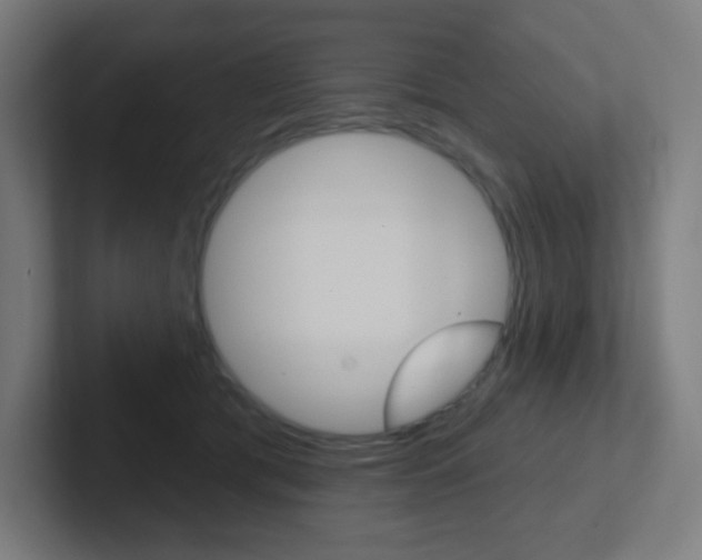 X0000102410417200808011020