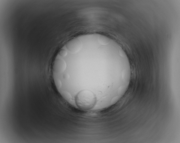 X0000102410418200808011020