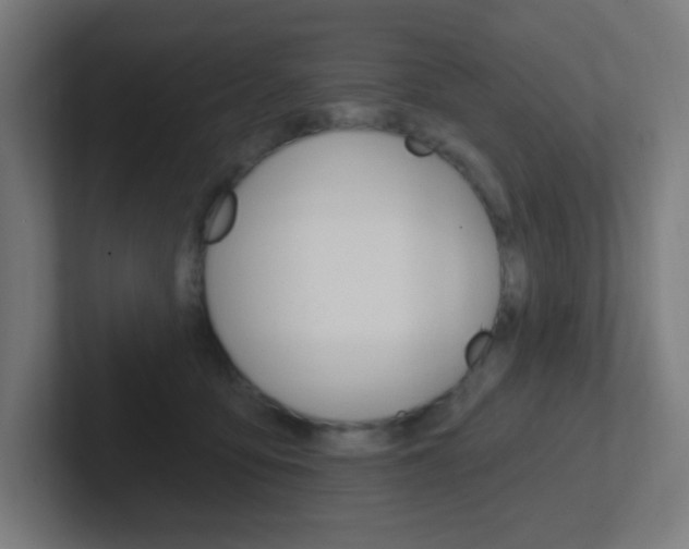 X0000102410419200808011020