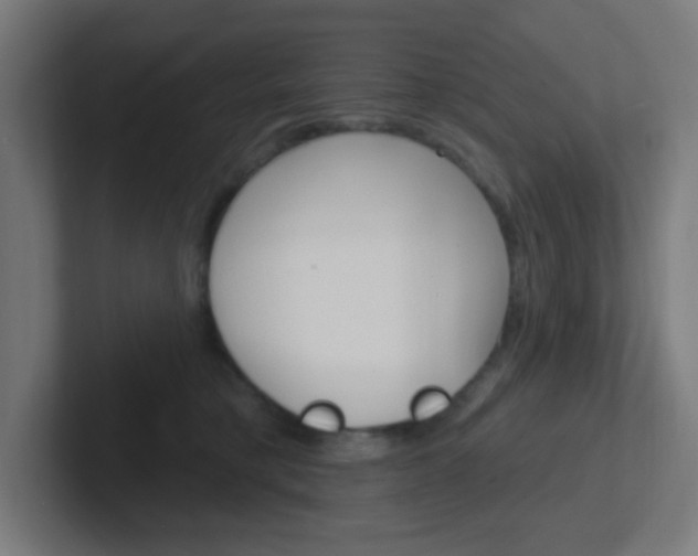 X0000102410421200808011020