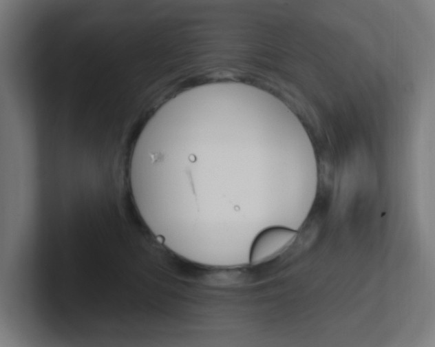 X0000102410422200808011020