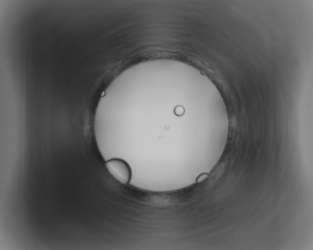 X0000102410423200808011020