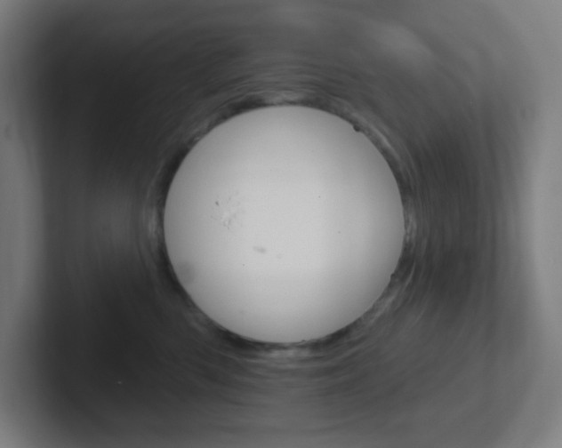 X0000102410426200808011020